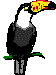 Toucan