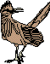 Roadrunner