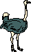 Ostrich
