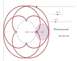 Astroides, cardoides y demás