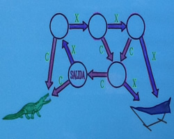 Al cocodrilo o a la tumbona