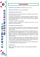 Carta australiana